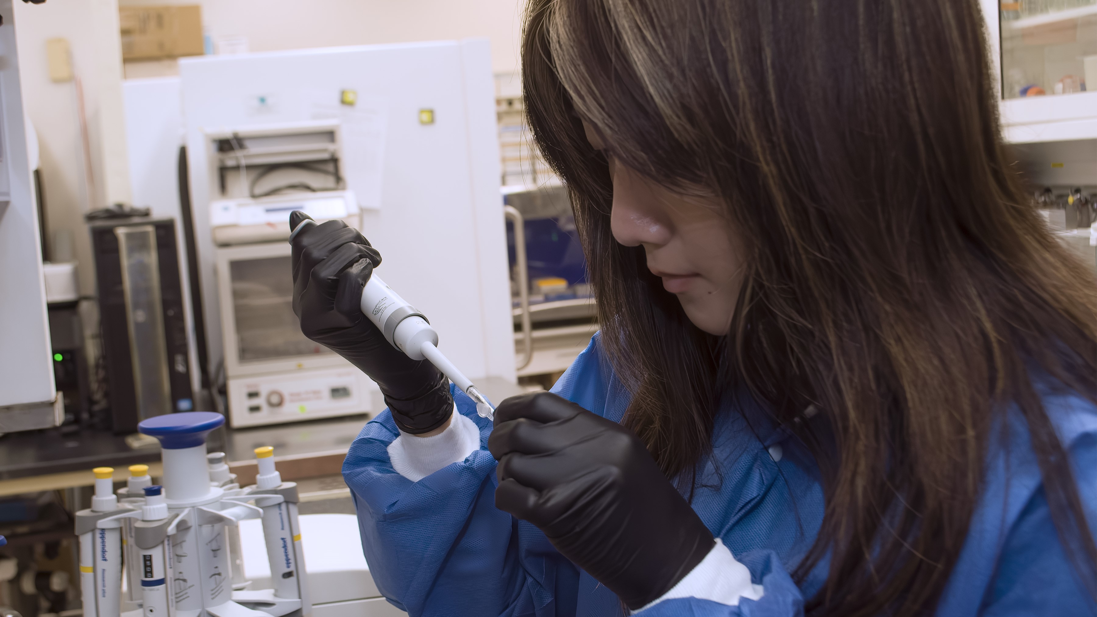 Freedom of Information Act Requests