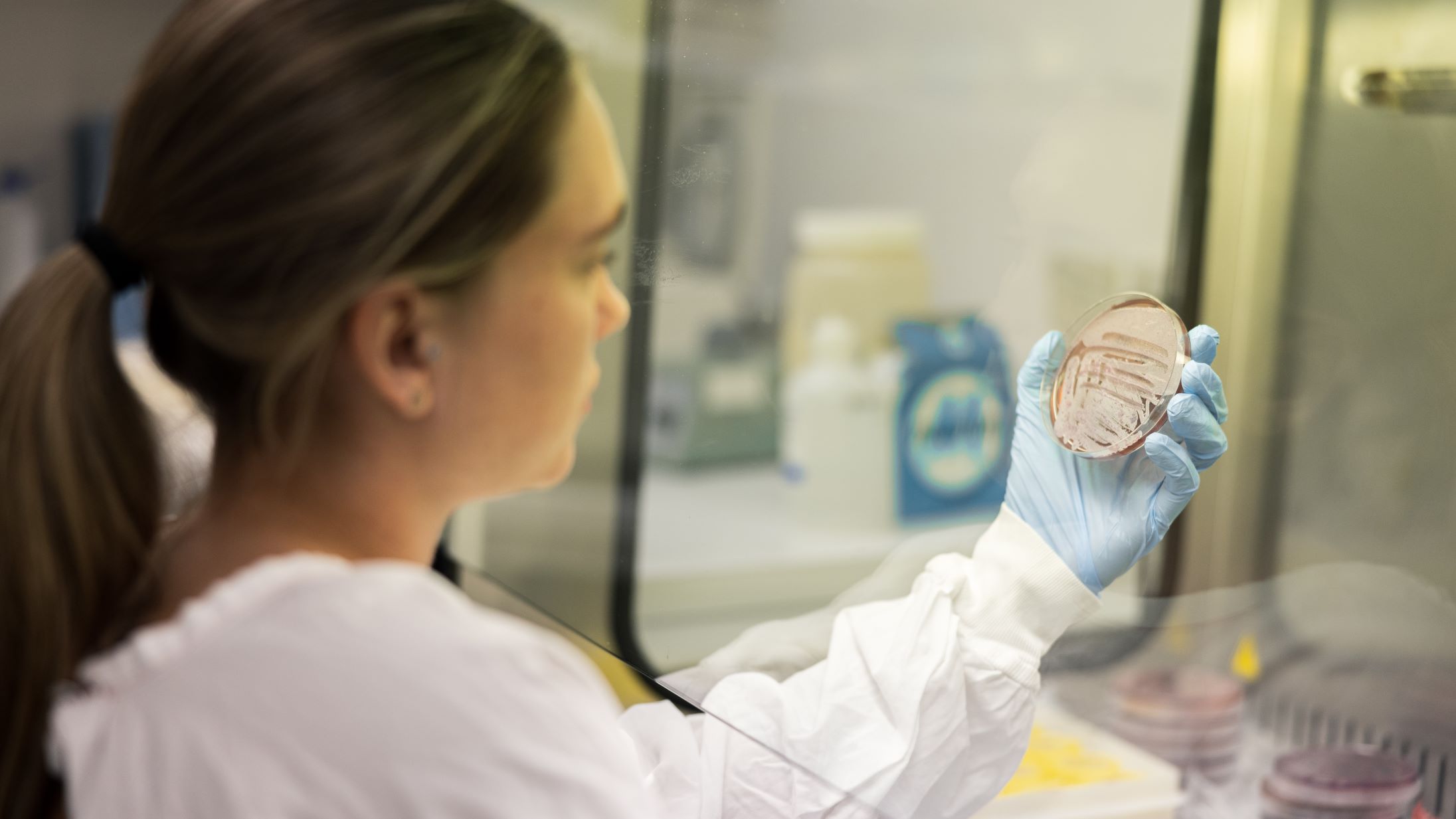scientist holding bacteria sample