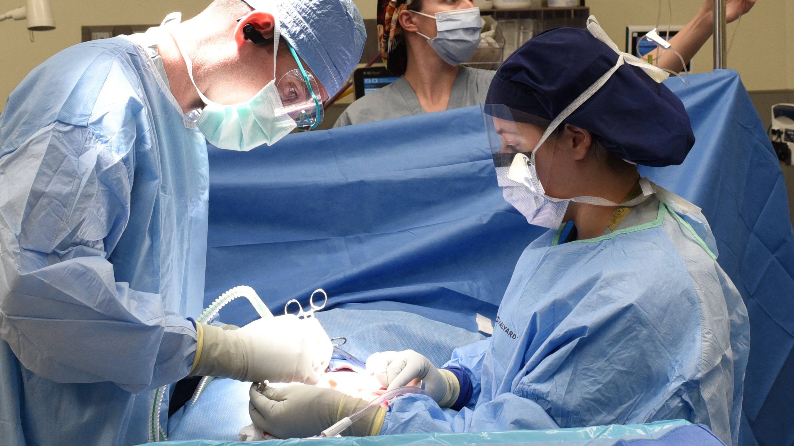 Surgeons perform surgery