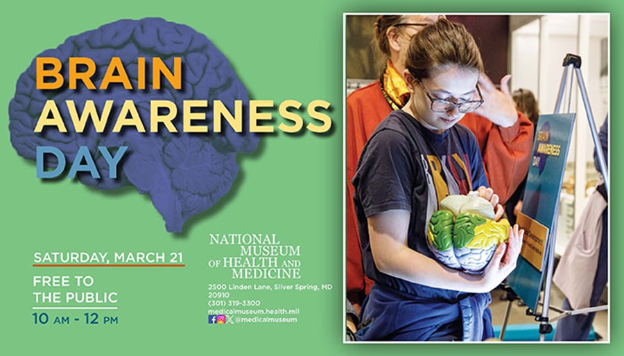 Medical Museum Brain Awareness Day