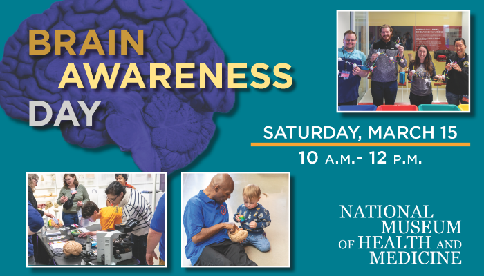 Brain Awareness Day poster