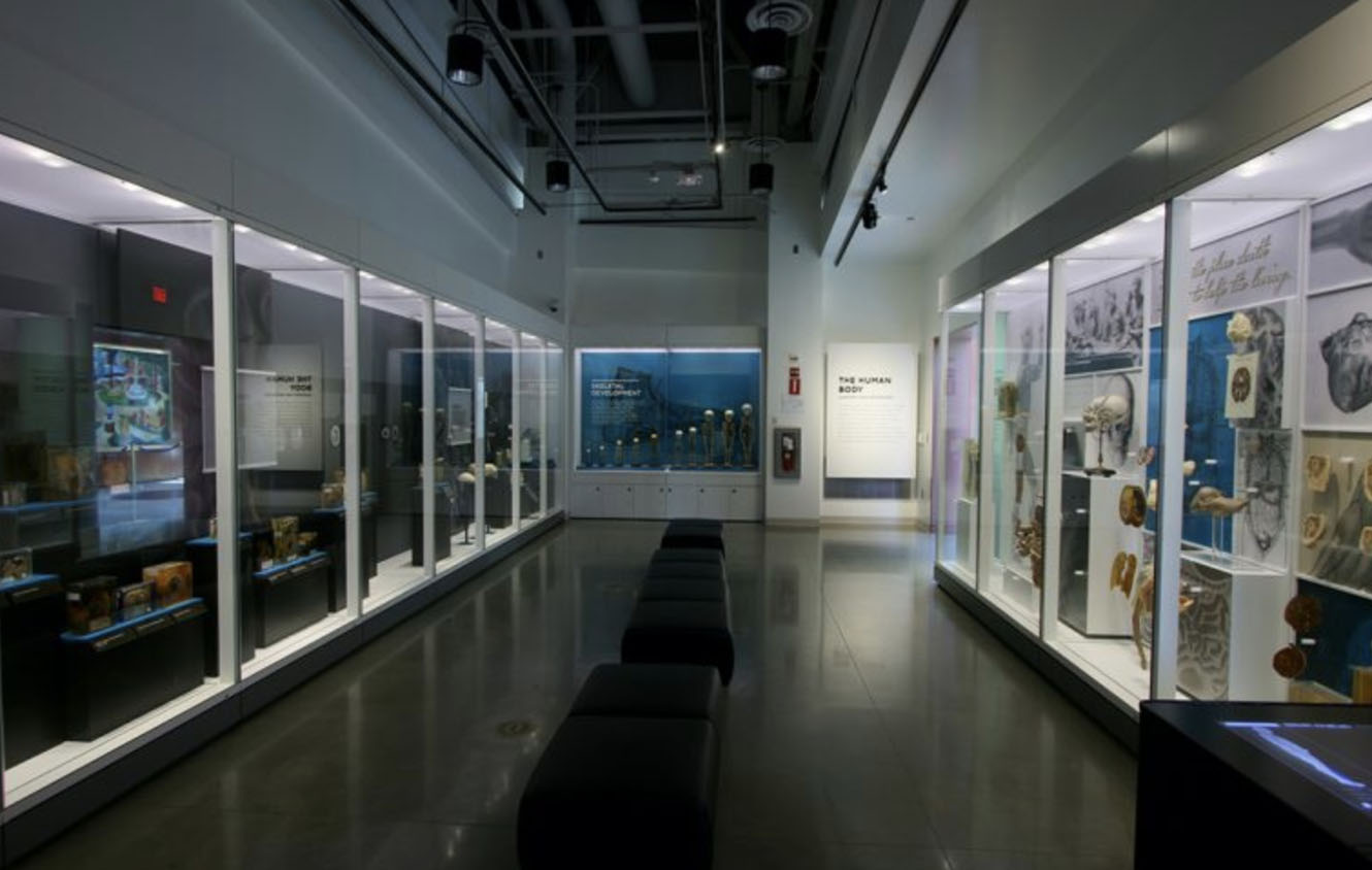 A museum hallway with medical items displayed