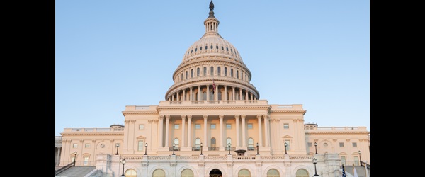 image of the top of the U.S. Capitol