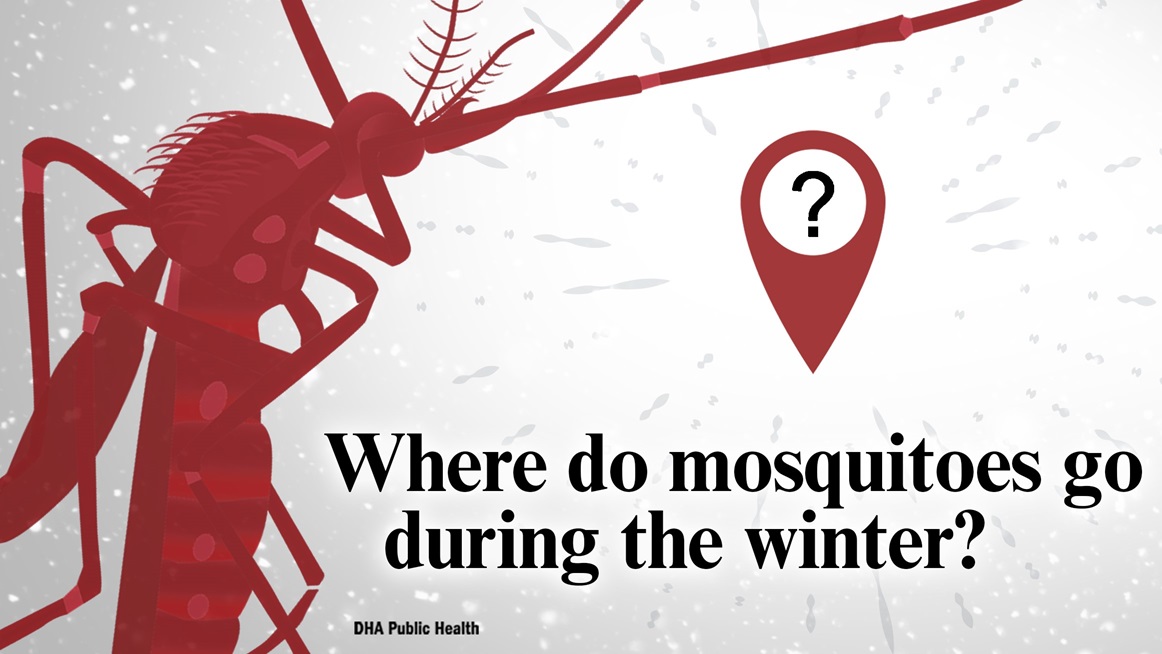 Mosquitoes are cold-blooded insects and cannot regulate their body temperature. When cold weather starts to set in, adult mosquitoes will become lethargic. Before they stop flying, adult female mosquitoes will focus on laying the last eggs before they freeze, or finding the warmest spot to overwinter. Eliminating standing water sources is the permanent solution to solving mosquito issues. (Defense Health Agency-Public Health graphic illustration by Andrew Leitzer)