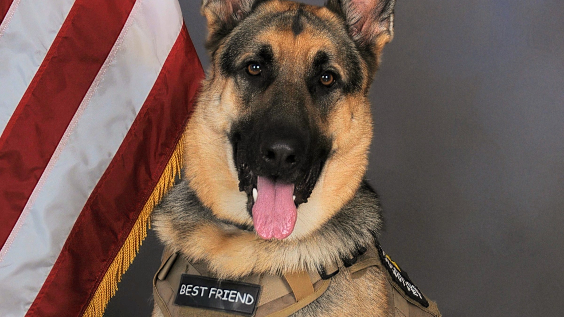  Gabe, a therapy dog adopted by Josh Wierenga, a Behavioral Health Coordinator for the Michigan National Guard, plays a crucial role in helping service members open up and manage their mental health.