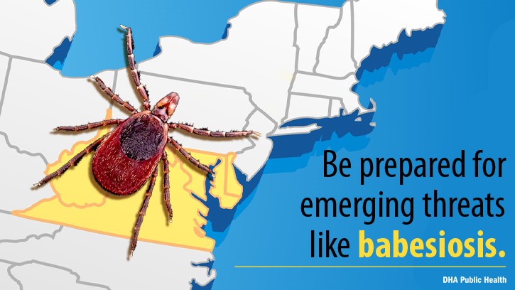 The blacklegged tick, also known as the deer tick, carries Lyme disease and now also carries the risk of co-infecting their victims with babesiosis.