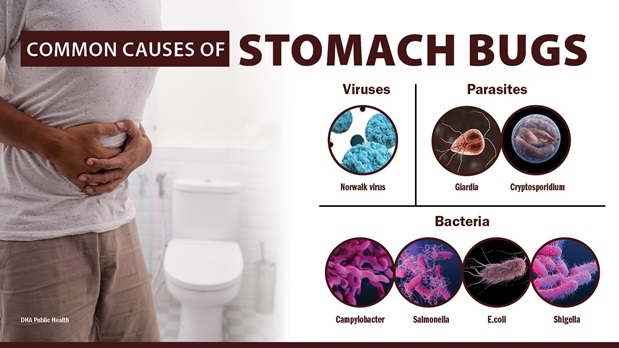 Acute Gastroenteritis, called a “stomach bug,” is often caused by a virus, bacteria, or parasite that has unknowingly been ingested, usually from a contaminated food or water source. Symptoms include diarrhea, stomach pain or cramping, nausea, or vomiting. (Defense Health Agency-Public Health graphic illustration by Michelle Phillips)