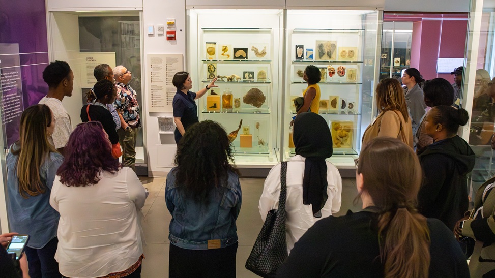 Gwen Nelmes, center left, the National Museum of Health and Medicine education coordinator, leads a professional development tour of the museum for staff from the Defense Health Agency’s Vision Center of Excellence in Silver Spring, Maryland, Aug. 26, 2025. (National Museum of Health and Medicine Photo by Kevin Sommer Giron)
