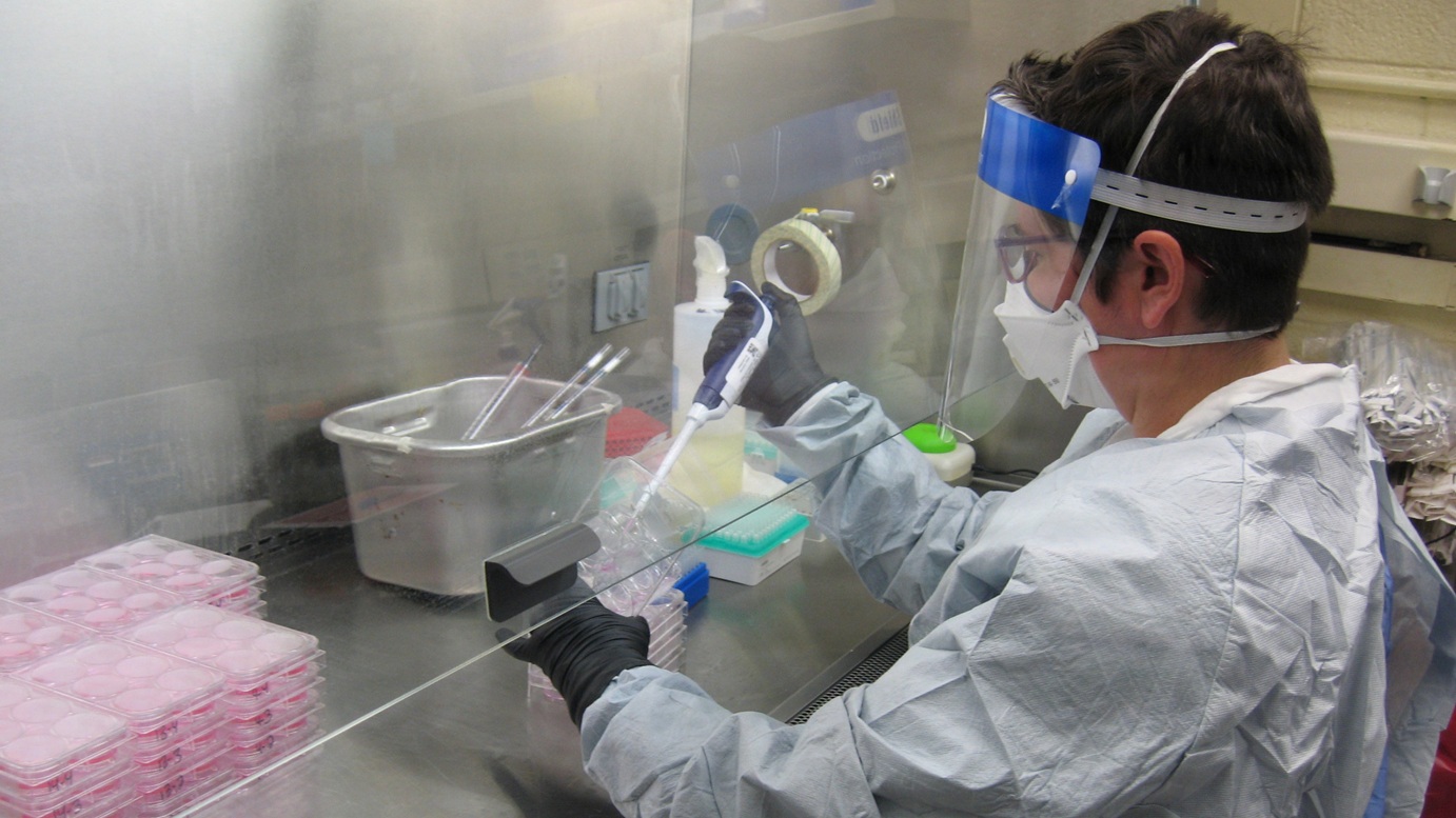 Christina Gardner, Ph.D., a contract scientist with Chenega, Cherokee Nation Integrated Health, LLC working in USAMRIID’s Viral Pathogenesis Branch, performs a neutralization assay in a biosafety level 3 (BSL-3) laboratory. Gardner is the lead author on the joint study that has identified two promising single-domain antibodies (sdAbs) that may offer a therapeutic option against multiple subtypes of Venezuelan equine encephalitis virus (VEEV).