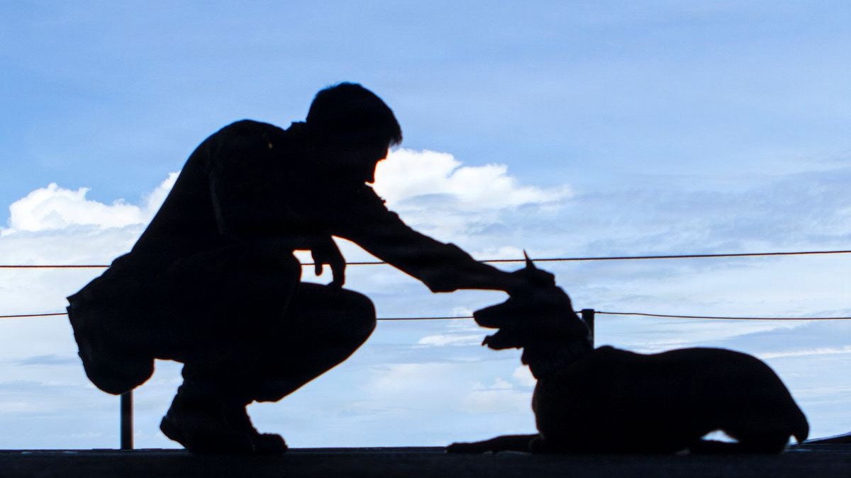U.S. Marine Cpl. Taylor W. Torrence spends a moment with his partner, Eesther, in the hangar bay of the USS Bonhomme Richard (LHD-6), while waiting to depart for a training mission as part of the 31st Marine Expeditionary Unit, at sea, Sept. 2, 2016. A critical medical breakthrough for military working dogs has earned top honors during the recent Military Health System Research Symposium in Kissimmee, Florida. The Canine Freeze-Dried Plasma (cFDP) Integrated Product Team earned the MHSRS Program Management Award in recognition of its exceptional collaboration in securing the first-ever Food and Drug Administration (FDA) clearance for a cFDP product. Operating under the Warfighter Protection and Acute Care (WPAC) Program Management Office—a component of the Defense Health Agency’s Assistant Director for Research, Development and Acquisition/Component Acquisition Executive office—the IPT successfully navigated complex manufacturing and regulatory hurdles to deliver a shelf-stable, life-saving product for the Department of War's (DoW) four-legged warfighters. (Defense Health Agency Photo Illustration by T. T. Parish/Released)