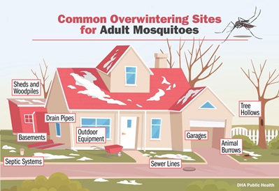 Here are some common areas to find overwintering adult mosquitoes around the home. (Defense Health Agency-Public Health graphic illustration by Andrew Leitzer)