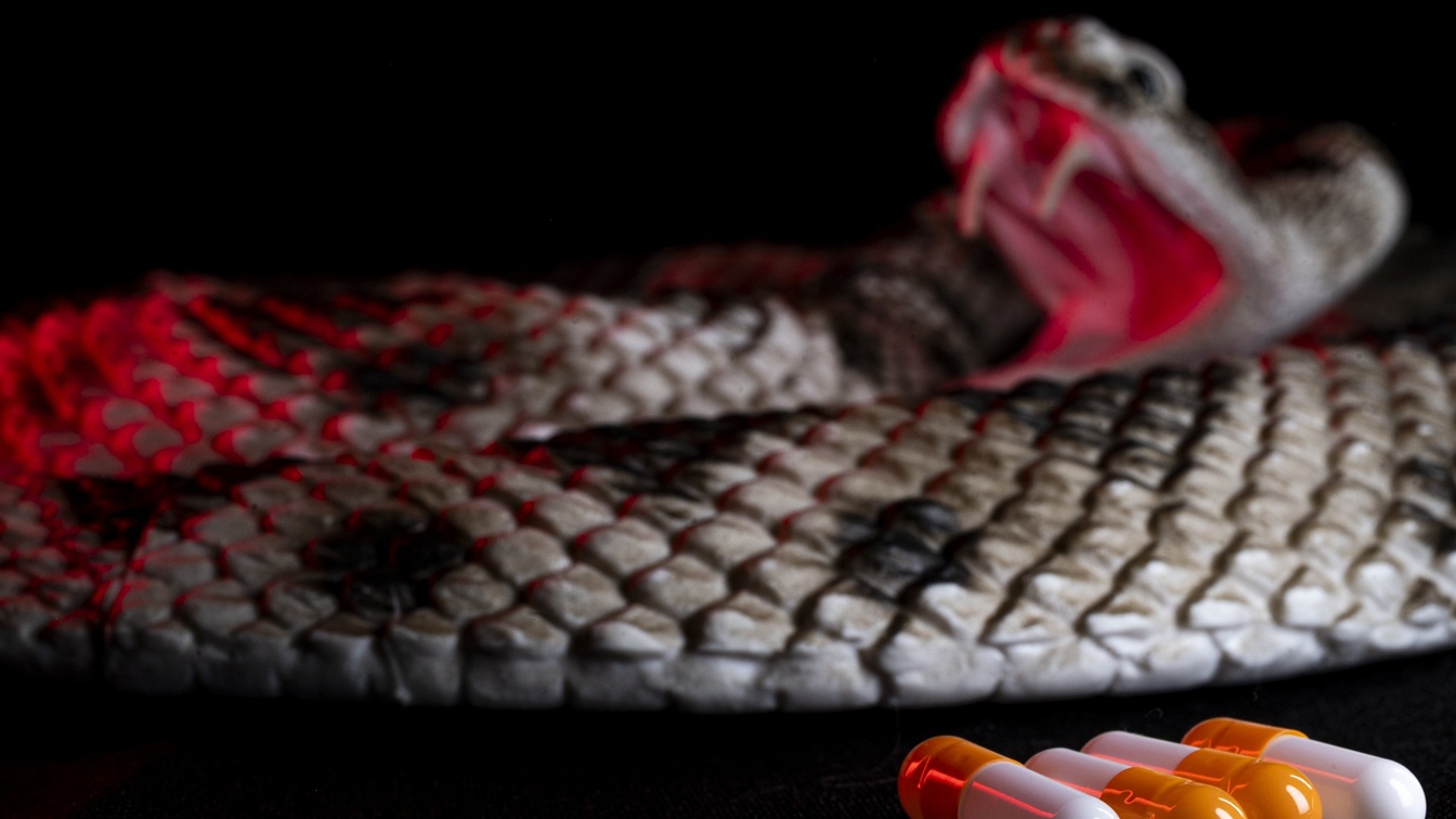 The Operational Medical Systems Program Management Office is developing a Broad-Spectrum Snakebite Antidote, in oral form, to help mitigate the dangers posed by venomous snakes across the Indo-Pacific. (Official Defense Health Agency Photo by T. T. Parish/Released)