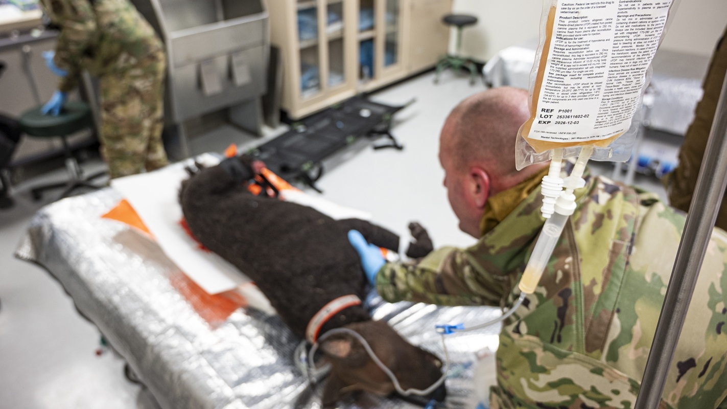 A U.S. Air Force reserve medical experimentation participant treats a Military Working Dog simulated casualty during a mass casualty drill at ARCTIC EDGE 2026 in Kodiak, Alaska, Feb. 25, 2026. During AE26, the Defense Health Agency’s Operation Medical Systems Program Management Office provided essential support and expertise to the joint medical providers assigned to medical units from across the Department of War. As part of the exercise, OPMED’s Burn Digital Assessment device and Canine Freeze-Dried Plasma were incorporated into ashore and ship-board clinical settings and used during en route care from ship-to-shore aboard Coast Guard medevac aircraft. OPMED, part of the Defense Health Agency, is the DOW’s leading force in medical development and acquisition, focused on enhancing warfighter lethality and readiness. Project management teams develop and deliver next-generation, world-class medical capabilities that empower combatant commanders for Large-Scale Combat Operations, particularly within austere environments, with a twofold mission: save lives on the battlefield and swiftly return injured service members to duty. (Defense Health Agency Photo by T. T. Parish/Released)